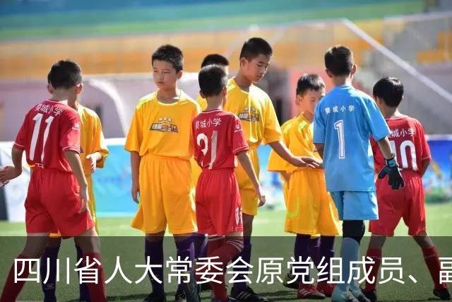 四川省人大常委会原党组成员、副主任宋朝华受贿案一审宣判